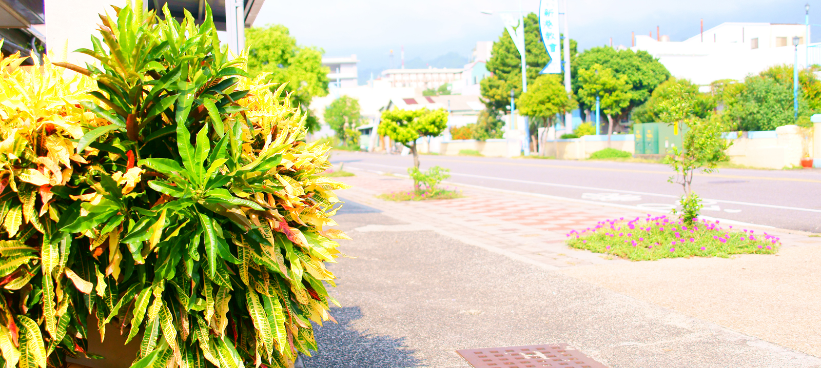 展憲企業有限公司(宜蘭石、洗石子)